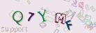This is a captcha-picture. It is used to prevent mass-access by robots. (see: www.captcha.net)