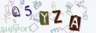 This is a captcha-picture. It is used to prevent mass-access by robots. (see: www.captcha.net)