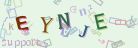 This is a captcha-picture. It is used to prevent mass-access by robots. (see: www.captcha.net)